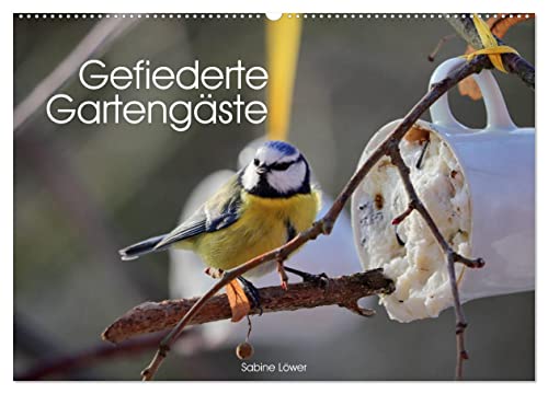 Gefiederte Gartengäste (Wandkalender 2025 DIN A2 quer), CALVENDO Monatskalender: Vögel, munteres Gezwitscher im Garten (CALVENDO Tiere)