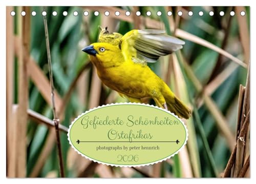 Gefiederte Schönheiten Ostafrikas (Tischkalender 2026 DIN A5 quer), CALVENDO Monatskalender von CALVENDO