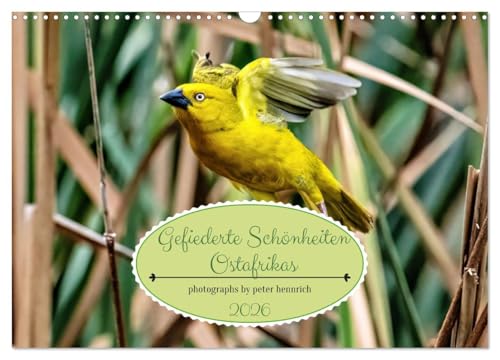 Gefiederte Schönheiten Ostafrikas (Wandkalender 2026 DIN A3 quer), CALVENDO Monatskalender von CALVENDO