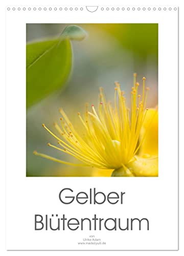 Gelber Blütentraum (Wandkalender 2025 DIN A3 hoch), CALVENDO Monatskalender von CALVENDO