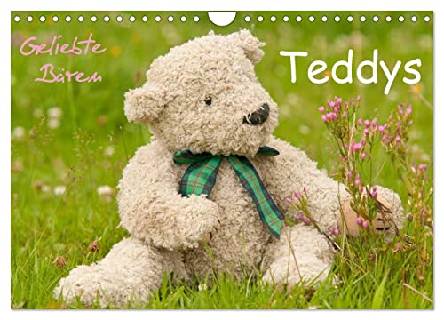 Geliebte Bären - Teddys (Wandkalender 2025 DIN A4 quer), CALVENDO Monatskalender von CALVENDO