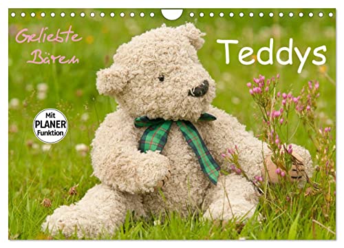 Geliebte Bären - Teddys (Wandkalender 2025 DIN A4 quer), CALVENDO Monatskalender von CALVENDO