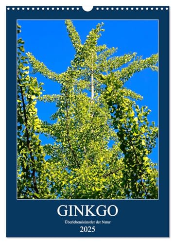 Ginkgo (Wandkalender 2025 DIN A3 hoch), CALVENDO Monatskalender von CALVENDO