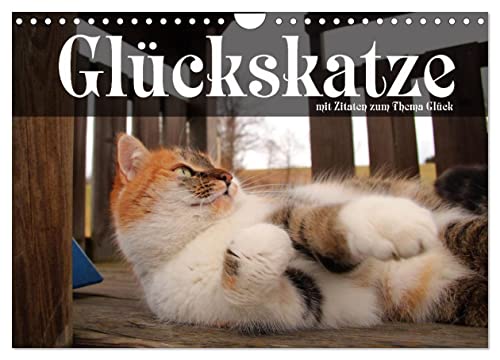 Glückskatze - Mit Zitaten zum Thema Glück (Wandkalender 2025 DIN A4 quer), CALVENDO Monatskalender von CALVENDO