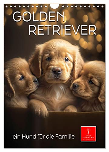 Golden Retriever - ein Hund für die Familie (Wandkalender 2025 DIN A4 hoch), CALVENDO Monatskalender von CALVENDO