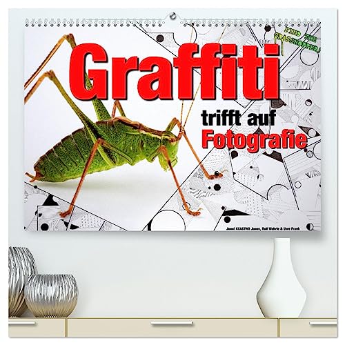 Graffiti trifft auf Fotografie (hochwertiger Premium Wandkalender 2025 DIN A2 quer), Kunstdruck in Hochglanz von CALVENDO
