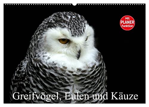 Greifvögel, Eulen und Käuze (Wandkalender 2026 DIN A2 quer), CALVENDO Monatskalender von CALVENDO