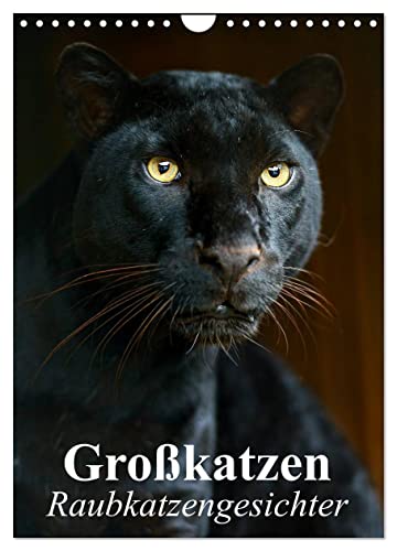 Großkatzen. Raubkatzengesichter (Wandkalender 2025 DIN A4 hoch), CALVENDO Monatskalender