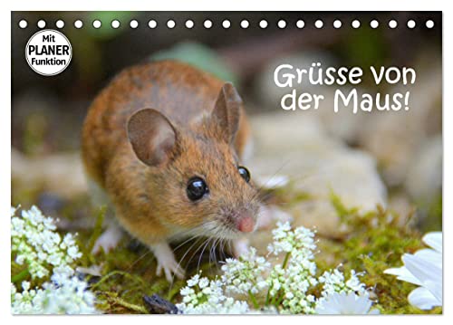 Grüsse von der Maus! (Tischkalender 2025 DIN A5 quer), CALVENDO Monatskalender von CALVENDO
