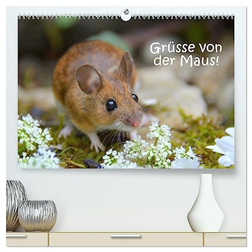 Grüsse von der Maus! (hochwertiger Premium Wandkalender 2025 DIN A2 quer), Kunstdruck in Hochglanz von CALVENDO