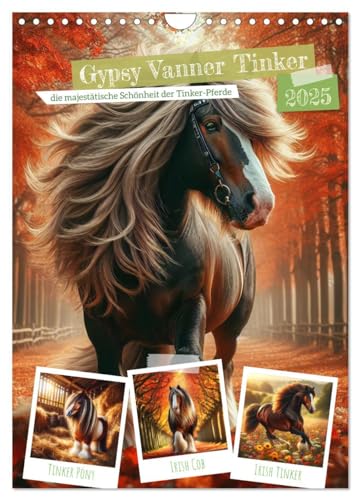Gypsy Vanner Tinker - die majestätische Schönheit der Tinker-Pferde (Wandkalender 2025 DIN A4 hoch), CALVENDO Monatskalender von CALVENDO