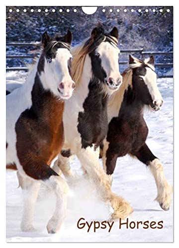 Gypsy's (Wandkalender 2025 DIN A4 hoch), CALVENDO Monatskalender von CALVENDO