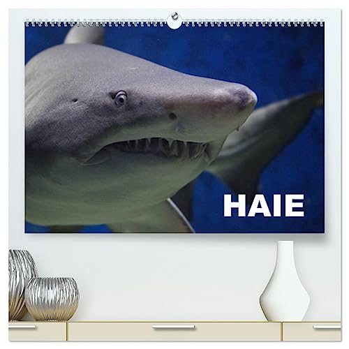 Haie (hochwertiger Premium Wandkalender 2025 DIN A2 quer), Kunstdruck in Hochglanz: Diese einzigartigen Lebewesen aus der Nähe betrachten (CALVENDO Tiere)