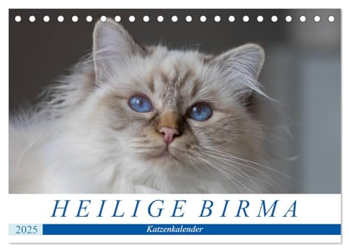 Heilige Birma Katzenkalender (Tischkalender 2025 DIN A5 quer), CALVENDO Monatskalender von CALVENDO