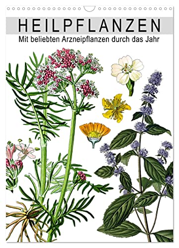 Heilpflanzen (Wandkalender 2025 DIN A3 hoch), CALVENDO Monatskalender von CALVENDO