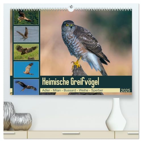 Heimische GREIFVÖGEL Adler Milan Bussard Weihe Sperber (hochwertiger Premium Wandkalender 2025 DIN A2 quer), Kunstdruck in Hochglanz von CALVENDO