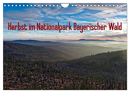 Herbst im Nationalpark Bayerischer Wald (Wandkalender 2025 DIN A4 quer), CALVENDO Monatskalender von CALVENDO