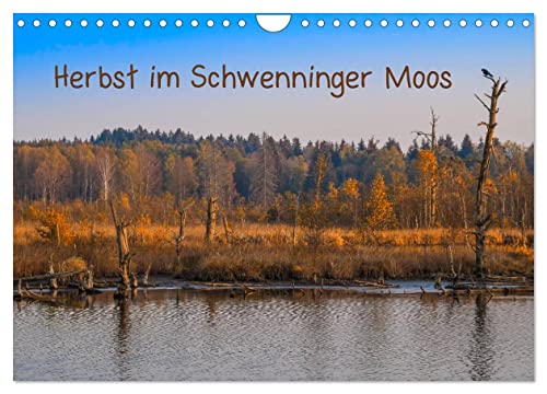 Herbst im Schwenninger Moos (Wandkalender 2025 DIN A4 quer), CALVENDO Monatskalender von CALVENDO