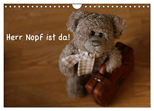 Herr Nopf ist da! (Wandkalender 2025 DIN A4 quer), CALVENDO Monatskalender von CALVENDO
