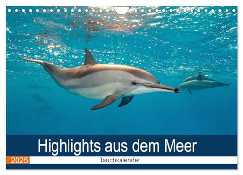 Highlights aus dem Meer - Tauchkalender (Wandkalender 2025 DIN A4 quer), CALVENDO Monatskalender von CALVENDO