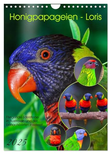 Honigpapageien - Loris (Wandkalender 2025 DIN A4 hoch), CALVENDO Monatskalender von CALVENDO