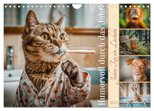Humorvoll durch das Jahr (Wandkalender 2025 DIN A4 quer), CALVENDO Monatskalender von CALVENDO