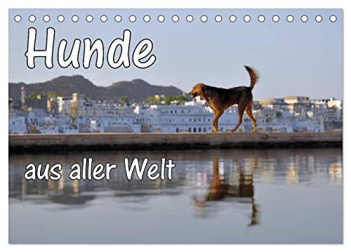 Hunde aus aller Welt (Tischkalender 2025 DIN A5 quer), CALVENDO Monatskalender: Hunde aus aller Welt vor markanten Hintergründen (CALVENDO Orte) von Calvendo