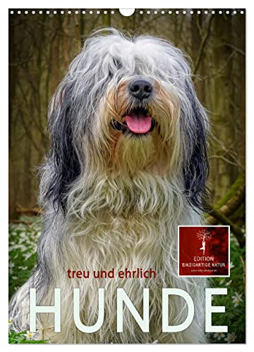 Hunde - treu und ehrlich (Wandkalender 2025 DIN A3 hoch), CALVENDO Monatskalender von CALVENDO