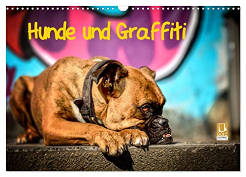 Hunde und Graffiti (Wandkalender 2025 DIN A3 quer), CALVENDO Monatskalender von CALVENDO