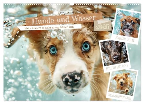 Hunde und Wasser (Wandkalender 2025 DIN A2 quer), CALVENDO Monatskalender von CALVENDO