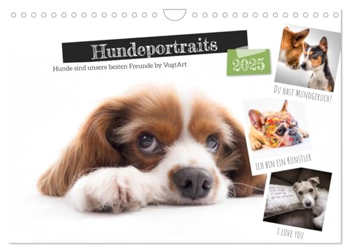 Hundeportraits, Hunde sind unsere besten Freunde by VogtArt (Wandkalender 2025 DIN A4 quer), CALVENDO Monatskalender von CALVENDO