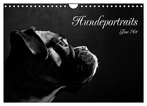 Hundeportraits Fine Art (Wandkalender 2025 DIN A4 quer), CALVENDO Monatskalender: Hundeportraits in schwarz/weiß (CALVENDO Tiere) von Calvendo