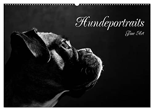 Hundeportraits Fine Art (Wandkalender 2026 DIN A2 quer), CALVENDO Monatskalender von CALVENDO
