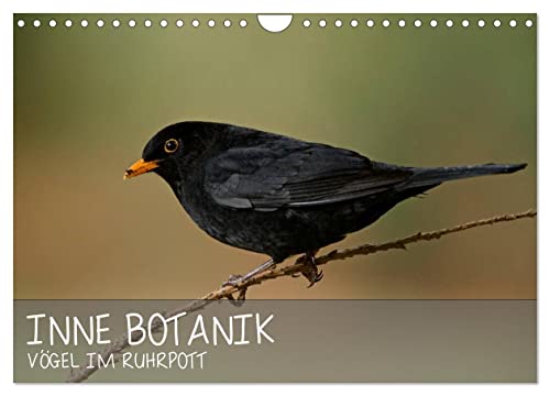 INNE BOTANIK - Vögel im Ruhrpott (Wandkalender 2026 DIN A4 quer), CALVENDO Monatskalender von CALVENDO