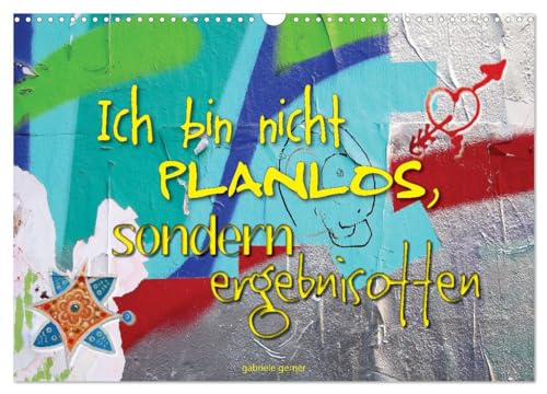 Ich bin nicht planlos, sondern ergebnisoffen (Wandkalender 2025 DIN A3 quer), CALVENDO Monatskalender von CALVENDO