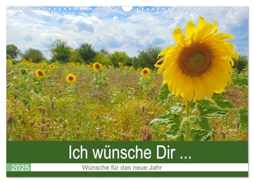 Ich wünsche Dir ... Wünsche für das neue Jahr (Wandkalender 2025 DIN A3 quer), CALVENDO Monatskalender von CALVENDO