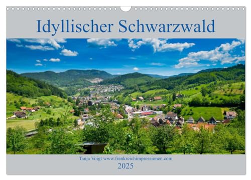Idyllischer Schwarzwald (Wandkalender 2025 DIN A3 quer), CALVENDO Monatskalender von CALVENDO