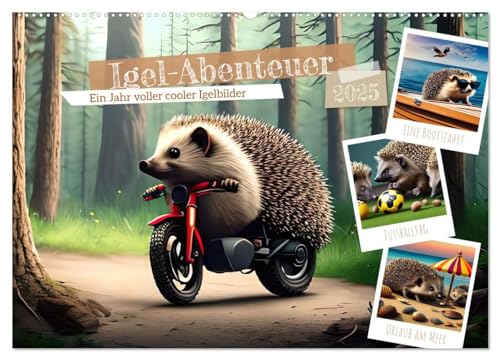 Igel-Abenteuer (Wandkalender 2025 DIN A2 quer), CALVENDO Monatskalender: Lustiger Kalender mit stacheligen Gesellen (CALVENDO Tiere) von Calvendo