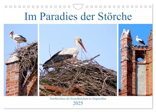 Im Paradies der Störche - Dorfkirchen als Storchkirchen in Ostpreußen (Wandkalender 2025 DIN A4 quer), CALVENDO Monatskalender von CALVENDO