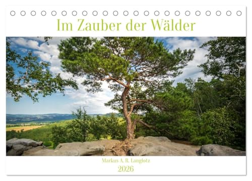 Im Zauber der Wälder (Tischkalender 2026 DIN A5 quer), CALVENDO Monatskalender von CALVENDO