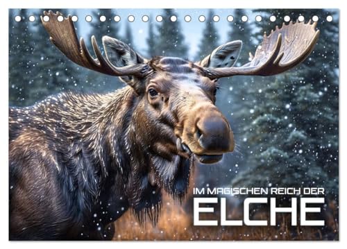 Im magischen Reich der Elche (Tischkalender 2025 DIN A5 quer), CALVENDO Monatskalender von CALVENDO