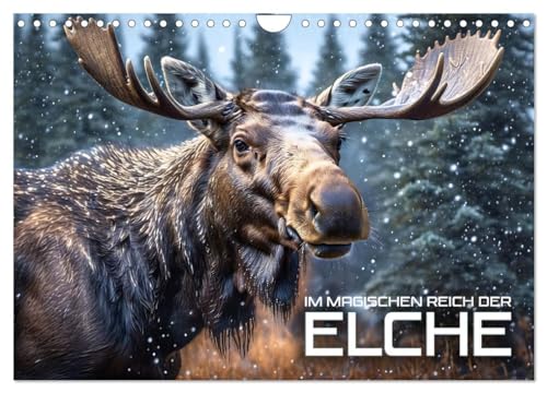 Im magischen Reich der Elche (Wandkalender 2025 DIN A4 quer), CALVENDO Monatskalender von CALVENDO