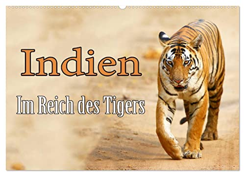 Indien - Im Reich des Tigers (Wandkalender 2025 DIN A2 quer), CALVENDO Monatskalender von CALVENDO