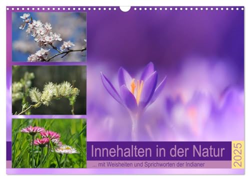 Innehalten in der Natur ... mit Weisheiten und Sprichworten der Indianer (Wandkalender 2025 DIN A3 quer), CALVENDO Monatskalender von CALVENDO