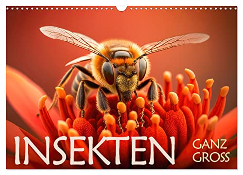 Insekten ganz gross (Wandkalender 2025 DIN A3 quer), CALVENDO Monatskalender von CALVENDO