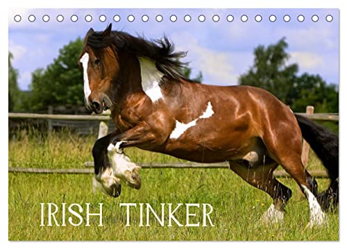 Irish Tinker (Tischkalender 2025 DIN A5 quer), CALVENDO Monatskalender von CALVENDO