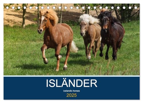 Isländer - icelandic horses (Tischkalender 2025 DIN A5 quer), CALVENDO Monatskalender von CALVENDO