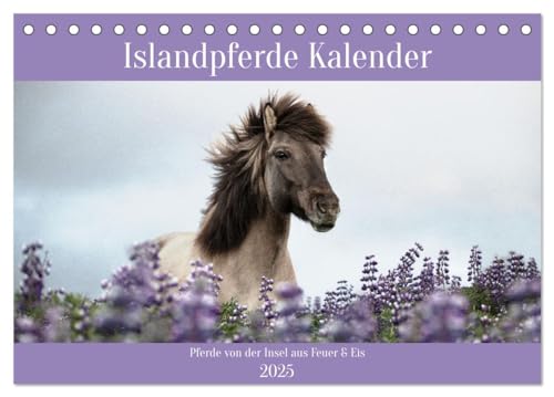 Islandpferde Kalender (Tischkalender 2025 DIN A5 quer), CALVENDO Monatskalender