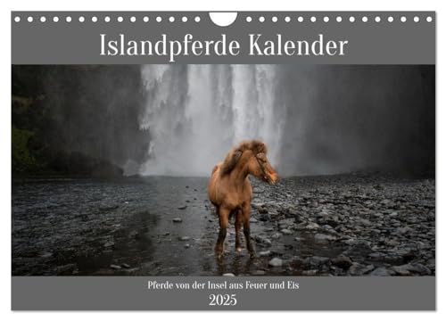 Islandpferde Kalender - Pferde von der Insel aus Feuer und Eis (Wandkalender 2025 DIN A4 quer), CALVENDO Monatskalender von CALVENDO