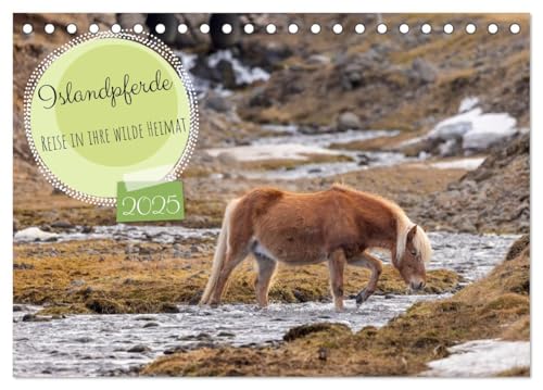 Islandpferde - Reise in ihre wilde Heimat (Tischkalender 2025 DIN A5 quer), CALVENDO Monatskalender von CALVENDO